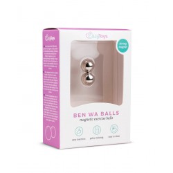 Easytoys ben Wa Ballen 12 mm - Zilverkleurig